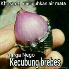 B Jhon47