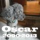 A Oscar
