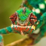 GeraldMuhammad Webcam