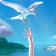 DolorisMartell Sport