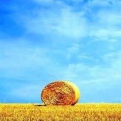 BrittnyBobo News