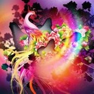 ConchaPurcell Shortfilms