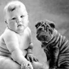 AntioneHutson Animals