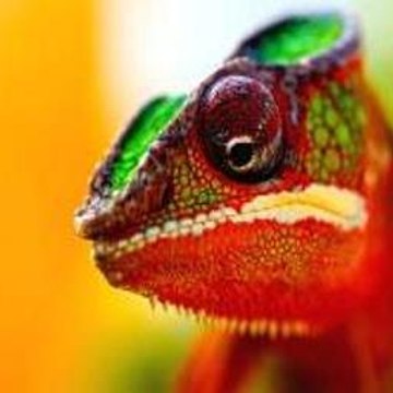 LashondaPryor Lifestyle