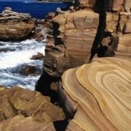 WilhelminaBerman Animals