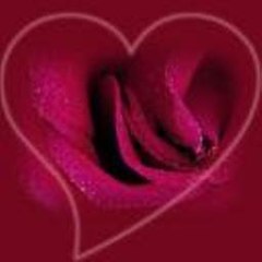 NevilleHutcheson Webcam