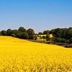 Pakistan Beautiful Places