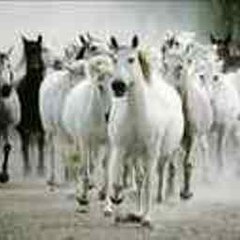 Hindi Cartoon Movies