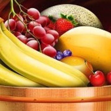 Spring, Summer, Fall, Winter