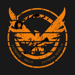 Tom Clancy's The Division Türkiye