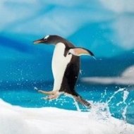 Heroes and Castles 2