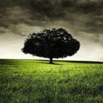 A Knight to Remember