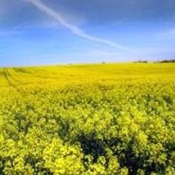 Tom Clancy s Splinter Cell  Chaos Theory