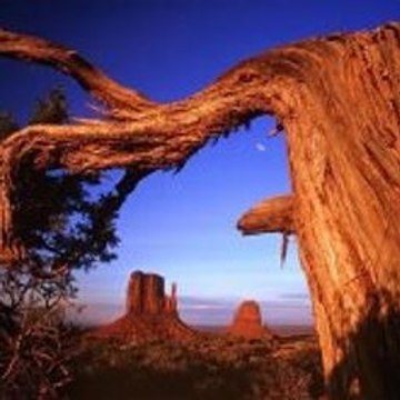 Brothers  A Tale of Two Sons