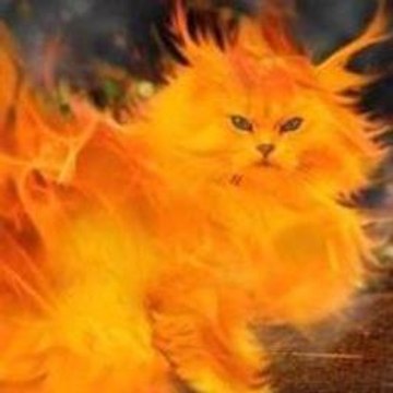 Ultra Street Fighter IV