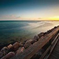 Warhammer Tyranid Invasion