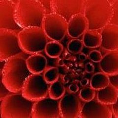 Sid Meier s Civilization V