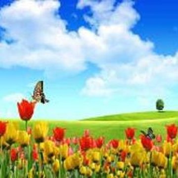 The Witcher 3  Wild Hunt