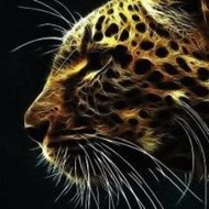 Tony Hawk s Pro Skater 2