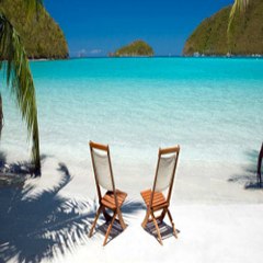 Travel Info