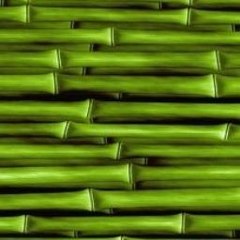 Fence