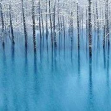 Silver Price Predictions