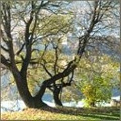 Sausage Eating Challenge