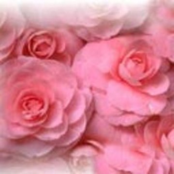 Japanese Traditional Dance