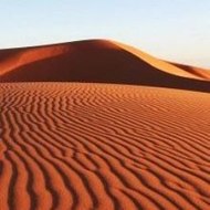 The Best Years of Our Lives