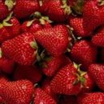 Monty Python and the Holy Grail