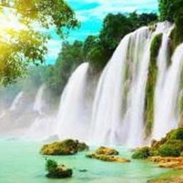 The Silence of the Lambs