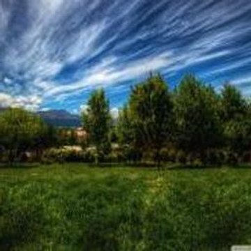 The Return of the King