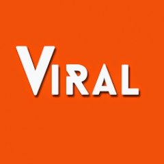 ViralA1Report