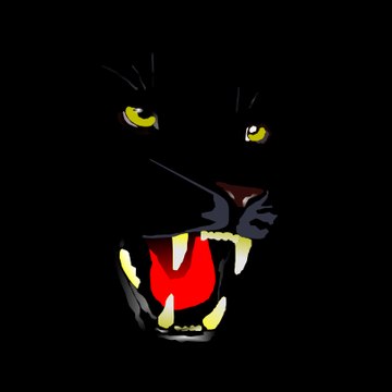 Black Chat