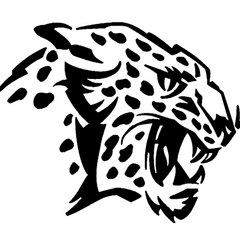 leopardvidzz