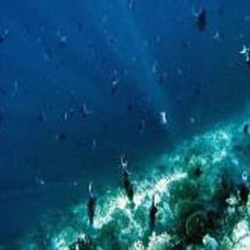 Peppa Pig Ytp Swimming