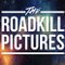 The Roadkill Pictures