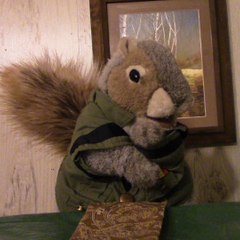 Squirrel talks