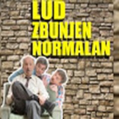 Lud Zbunjen Normalan ✔