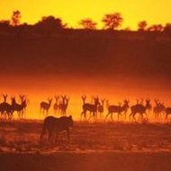 Lung P Minecraft Daily