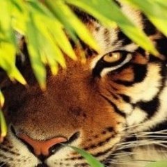 Minecraft Uptown Funk