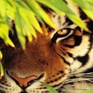 Minecraft Uptown Funk