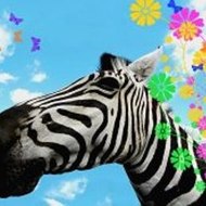 Peppa Pig What Are Those