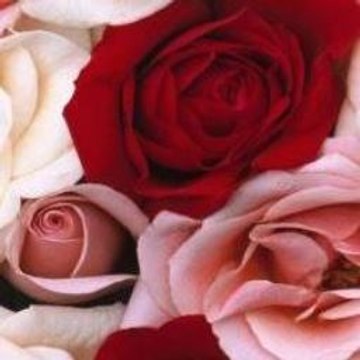 Peppa Pig Ytp Shopping