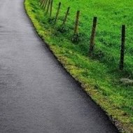 Peppa Pig Zoo Episode