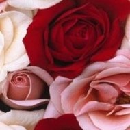 5 Minecraft Animation