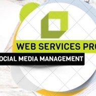 Web Services Pro