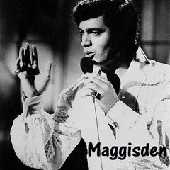 Maggisden