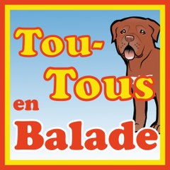 TOUTOUS EN BALADE
