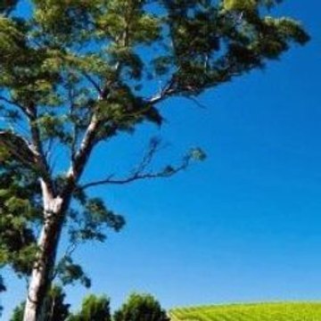 7 Minecraft Juegagerman